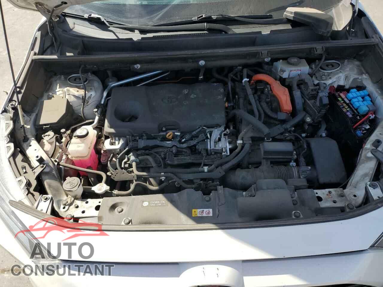 TOYOTA RAV4 2020 - 4T3EWRFV5LU009319