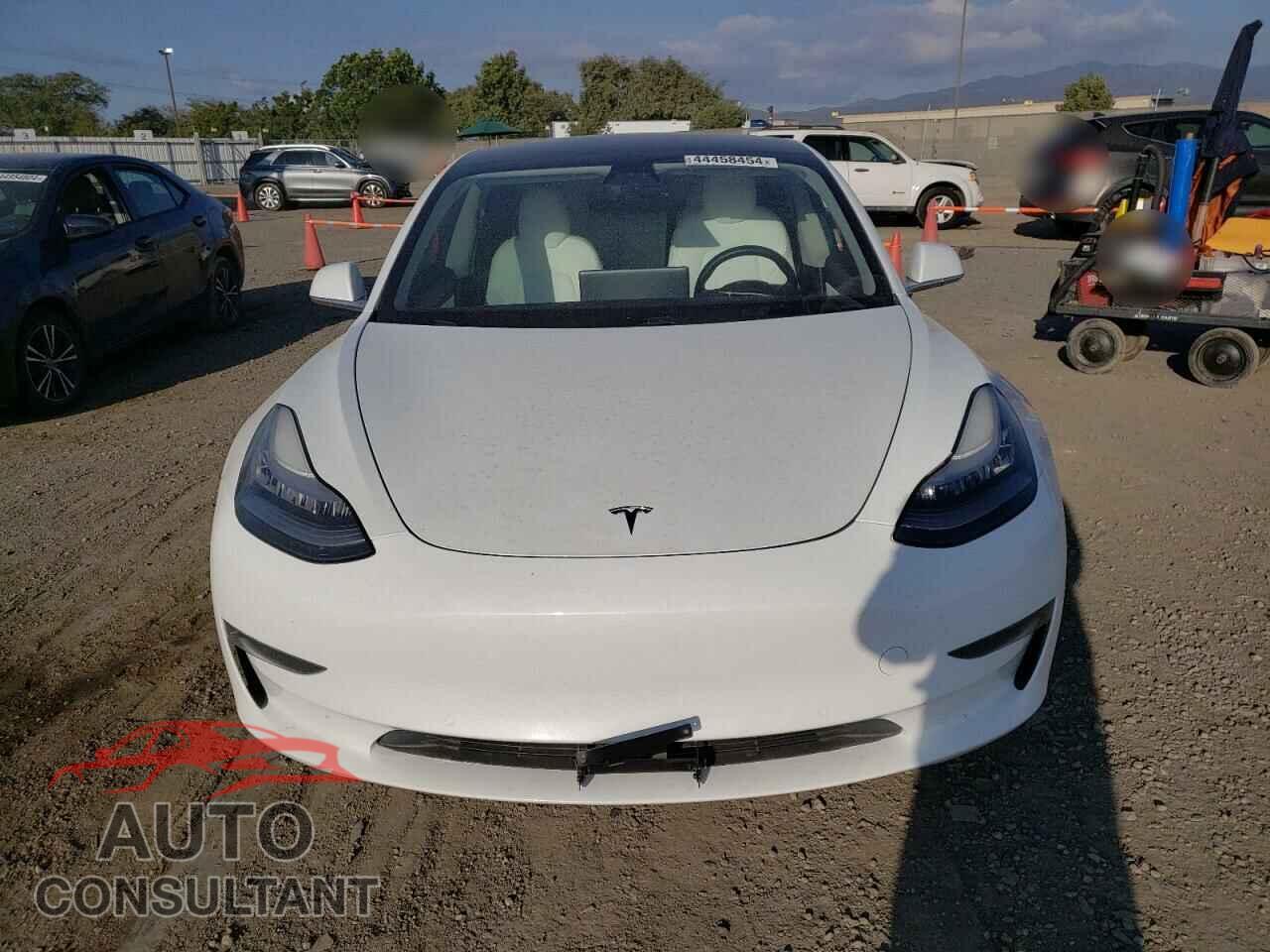 TESLA MODEL 3 2019 - 5YJ3E1EA3KF444936