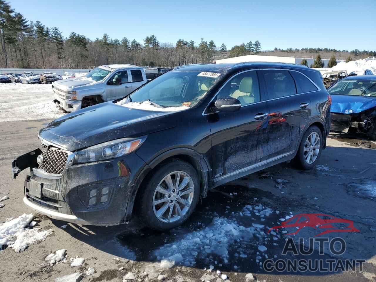 KIA SORENTO 2016 - 5XYPKDA55GG013390