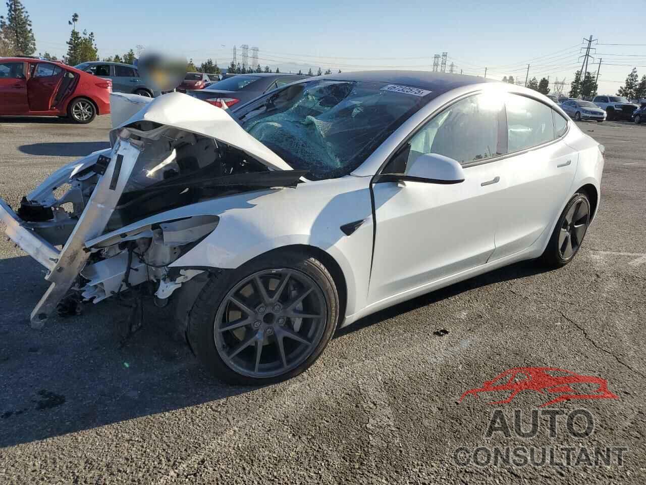TESLA MODEL 3 2021 - 5YJ3E1EA0MF026725