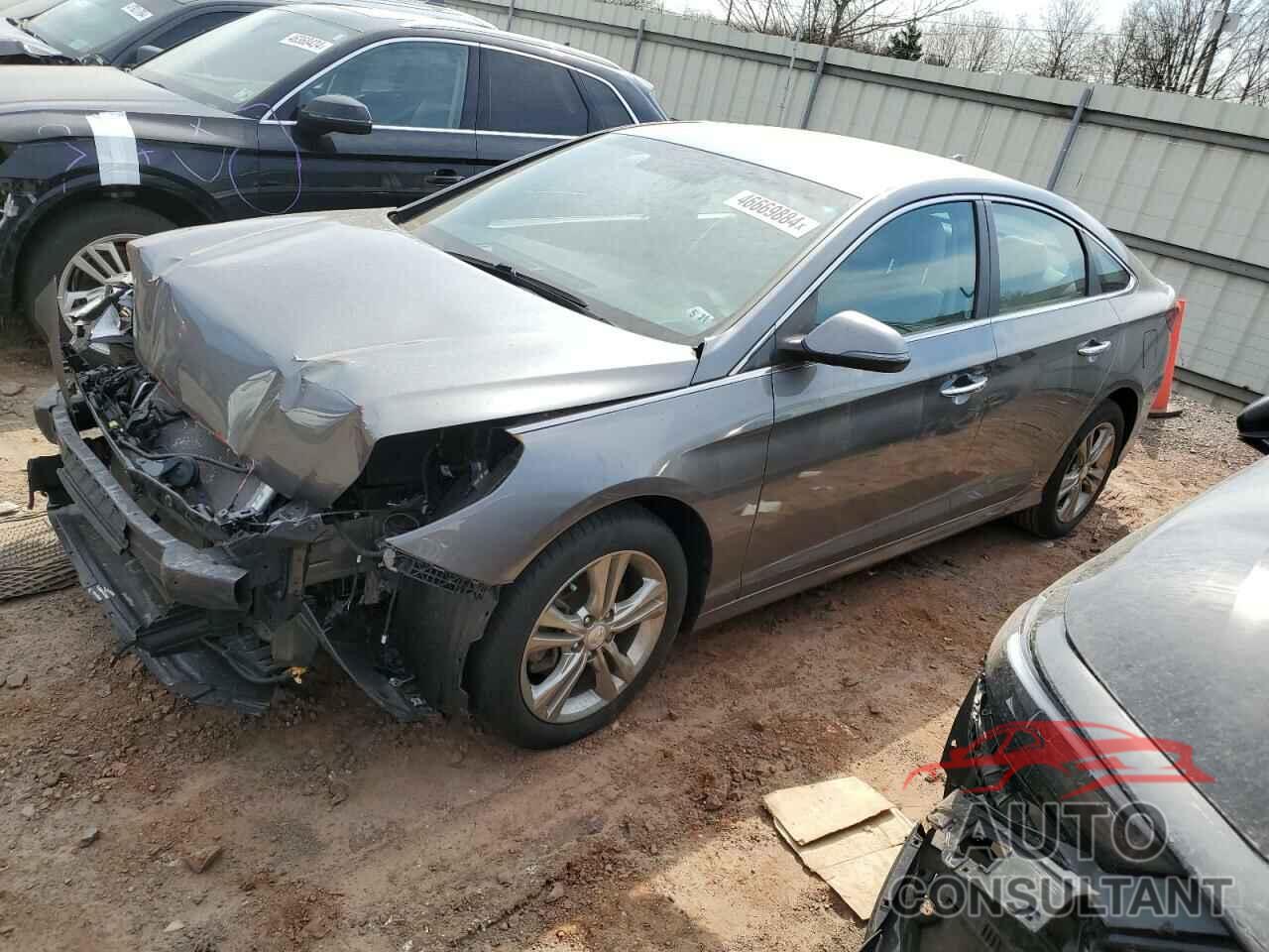 HYUNDAI SONATA 2019 - 5NPE34AF3KH770464