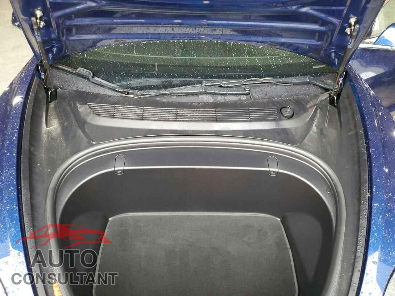 TESLA MODEL 3 2019 - 5YJ3E1EB5KF387745