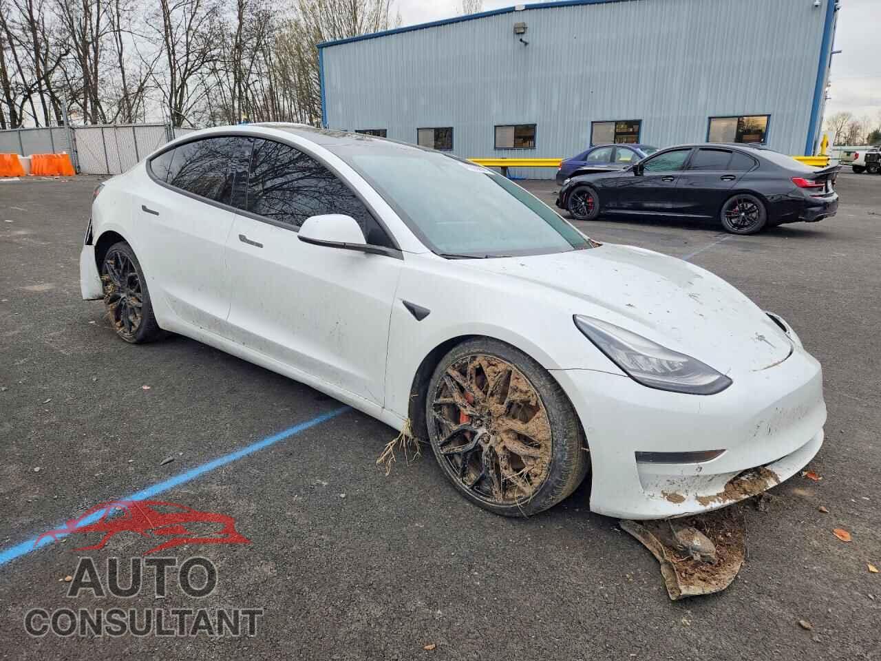 TESLA MODEL 3 2019 - 5YJ3E1EB9KF513976