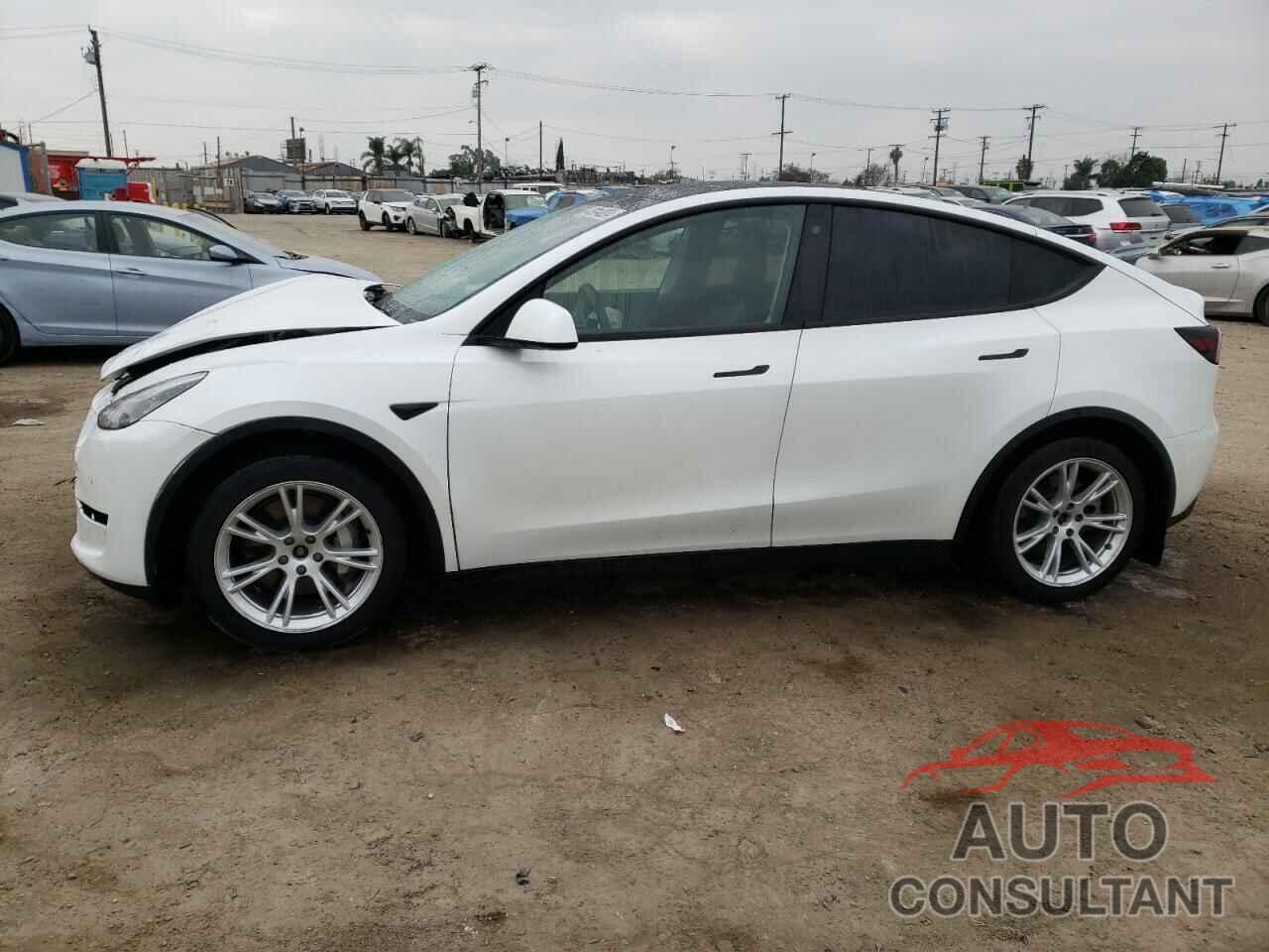 TESLA MODEL Y 2021 - 5YJYGDEE9MF074518