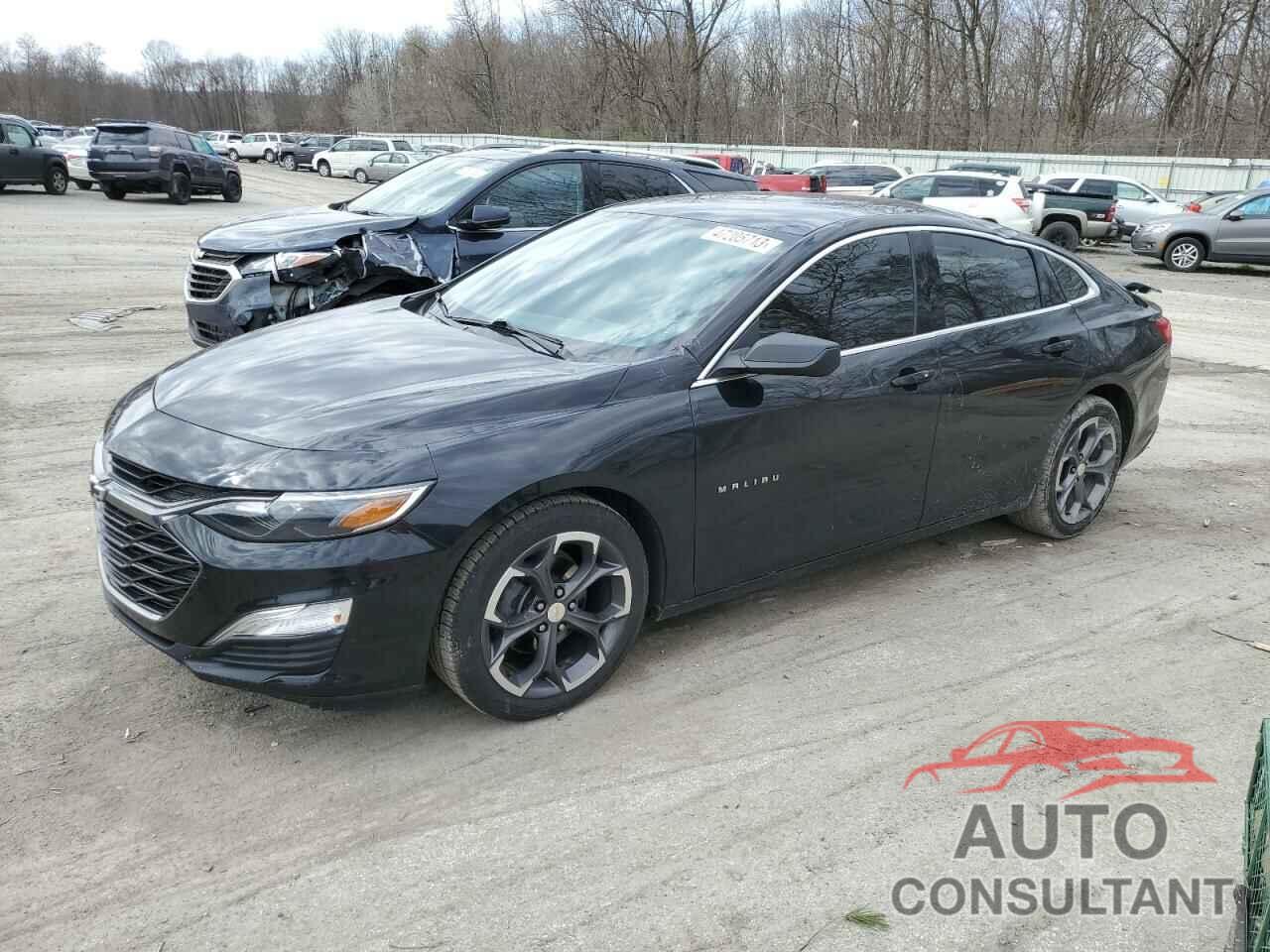 CHEVROLET MALIBU 2019 - 1G1ZG5ST1KF186518