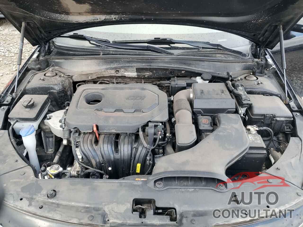 KIA OPTIMA 2019 - 5XXGT4L38KG354515
