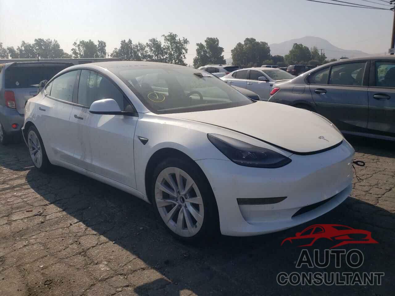 TESLA MODEL 3 2021 - 5YJ3E1EA8MF982342