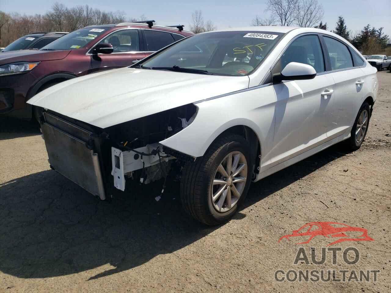 HYUNDAI SONATA 2019 - 5NPE24AF4KH782125