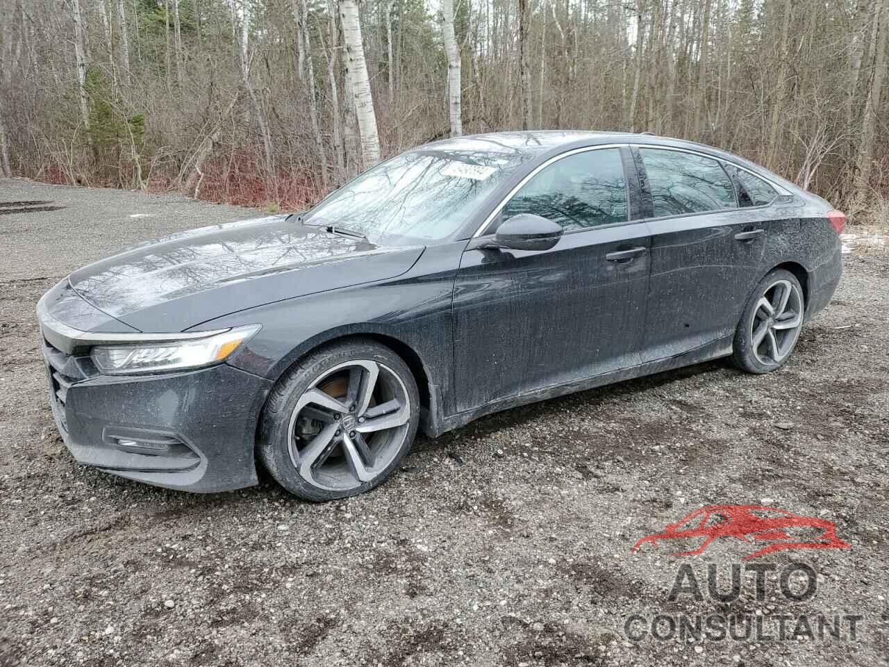 HONDA ACCORD 2019 - 1HGCV1F30KA801953