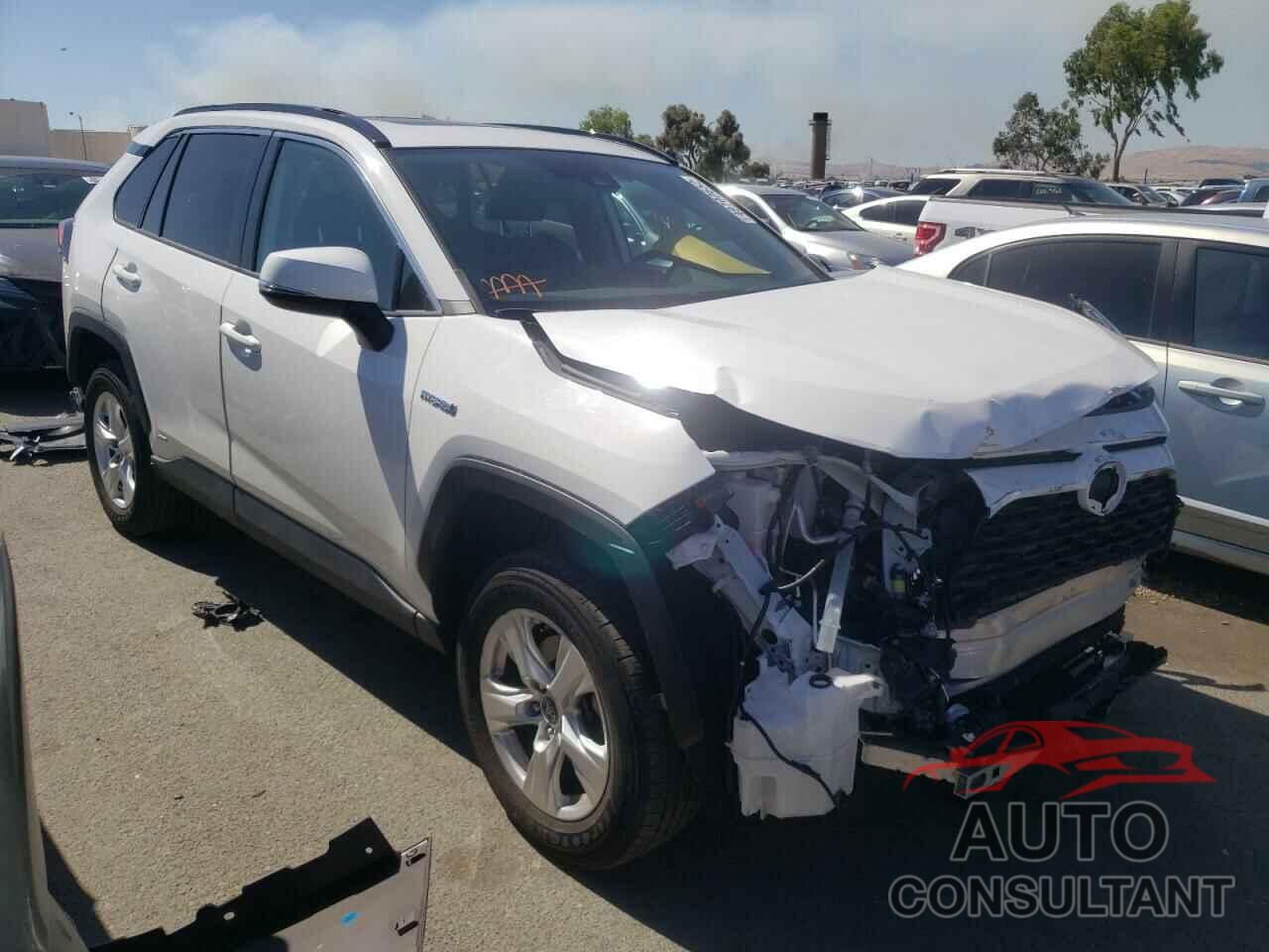TOYOTA RAV4 2019 - 2T3RWRFV1KW023900