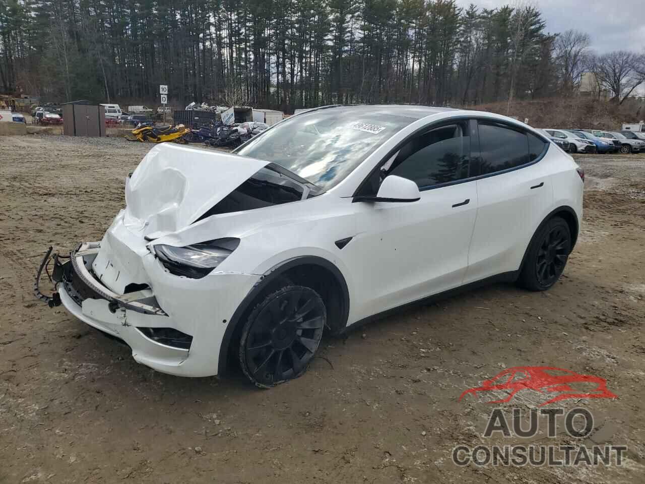 TESLA MODEL Y 2021 - 5YJYGDEE1MF190991