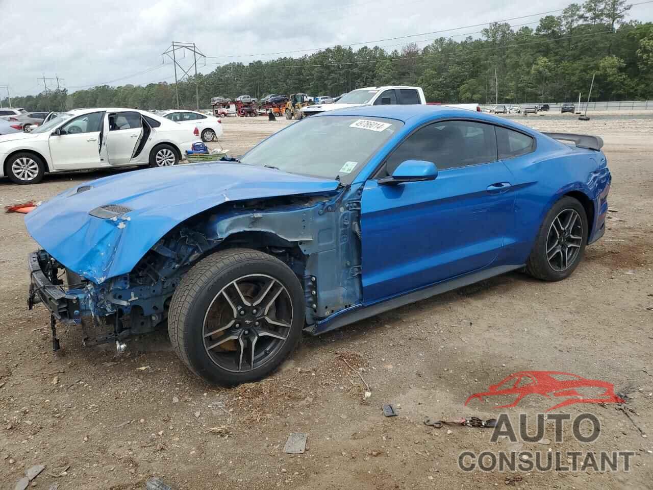 FORD MUSTANG 2019 - 1FA6P8CF2K5129406