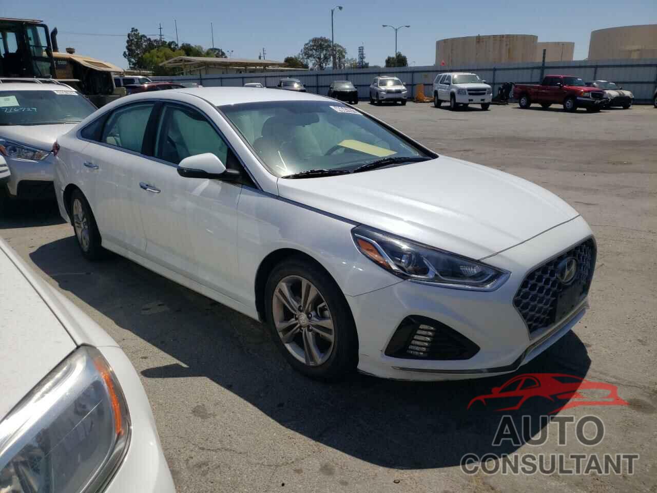 HYUNDAI SONATA 2019 - 5NPE34AF6KH776243