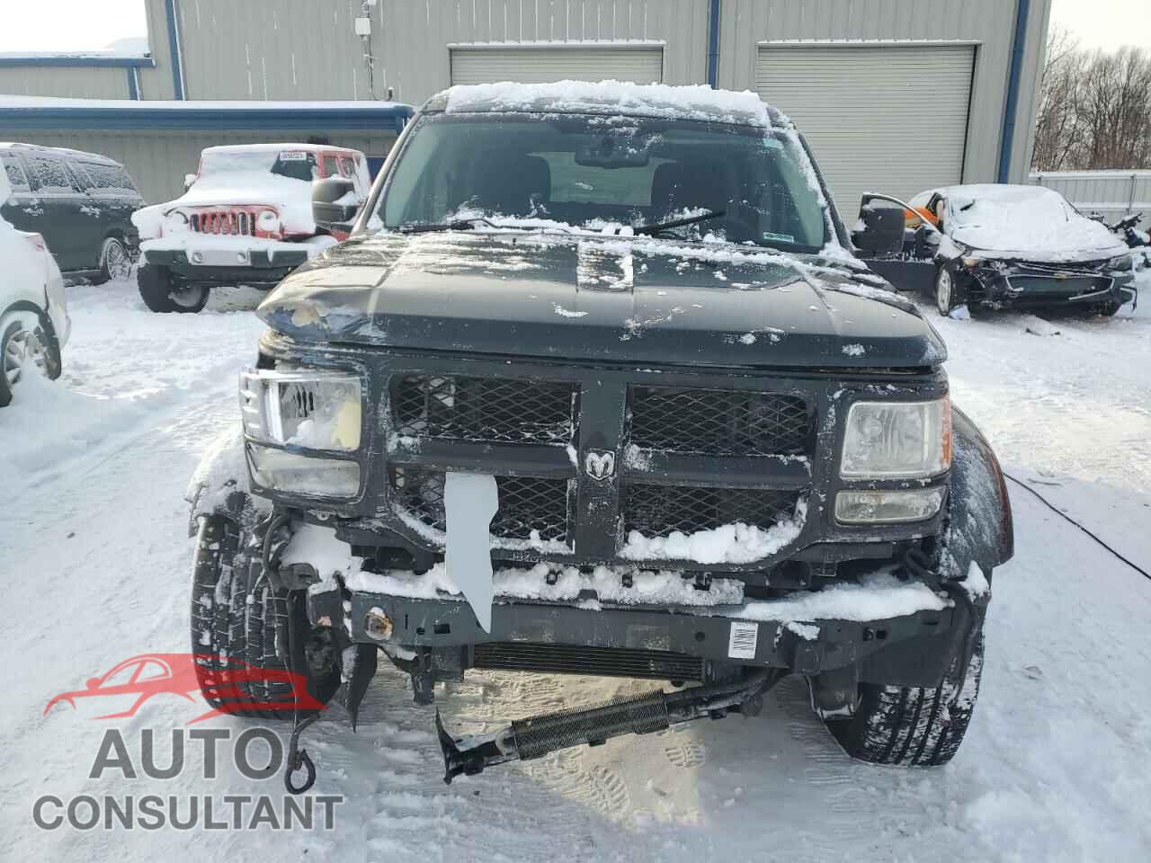 DODGE NITRO 2011 - 1D4PU4GX2BW501410