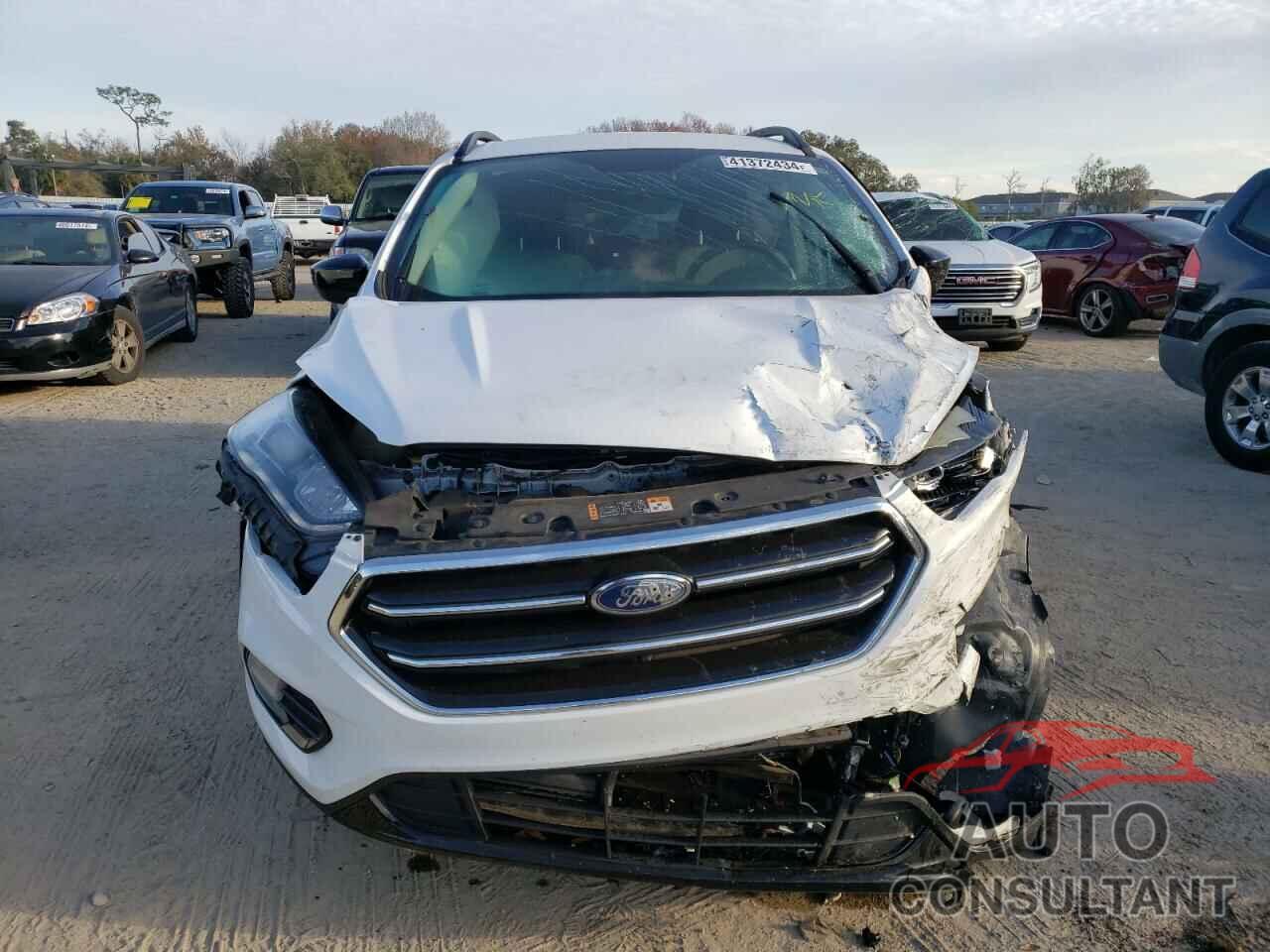 FORD ESCAPE 2019 - 1FMCU0GD5KUB21138