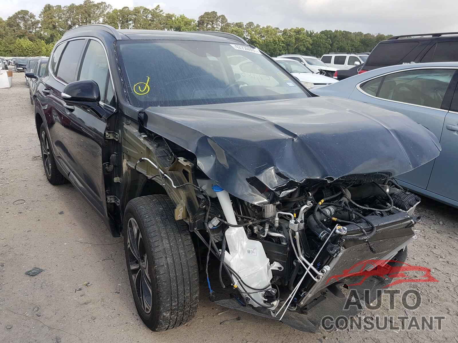 HYUNDAI SANTA FE 2019 - 5NMS53AA3KH019826