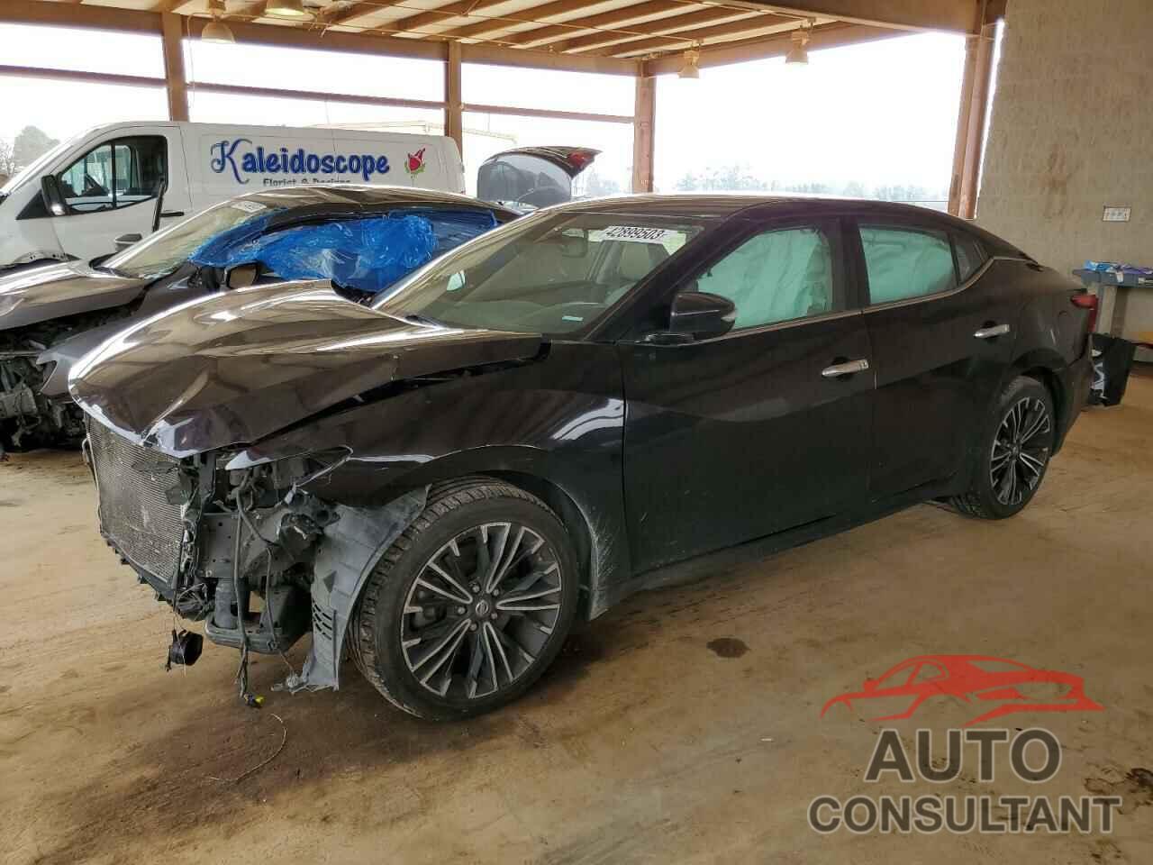 NISSAN MAXIMA 2016 - 1N4AA6AP3GC425968