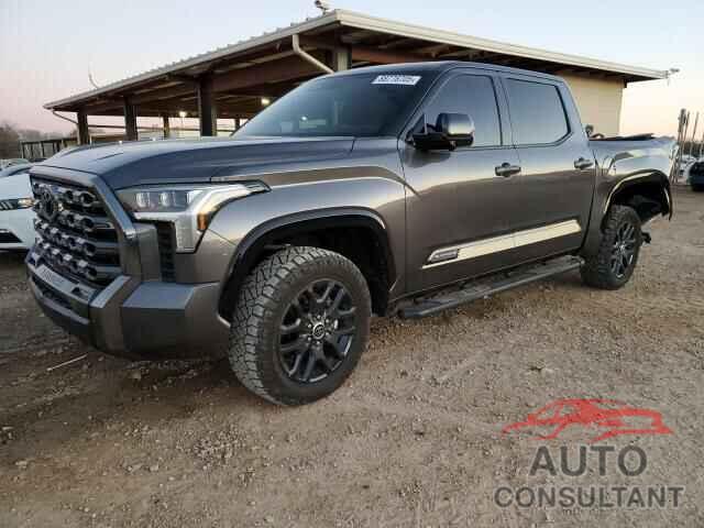 TOYOTA TUNDRA 2023 - 5TFNA5DBXPX110289