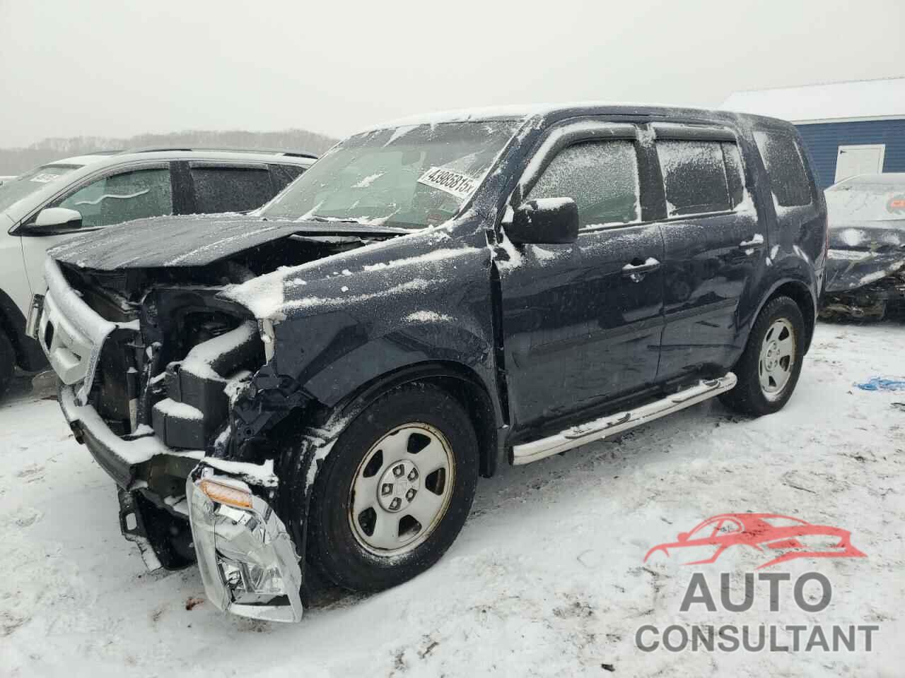 HONDA PILOT 2010 - 5FNYF4H22AB025175