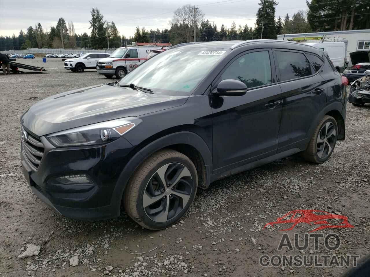 HYUNDAI TUCSON 2016 - KM8J3CA27GU057243