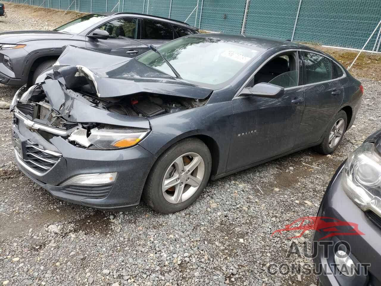 CHEVROLET MALIBU 2021 - 1G1ZC5STXMF051715