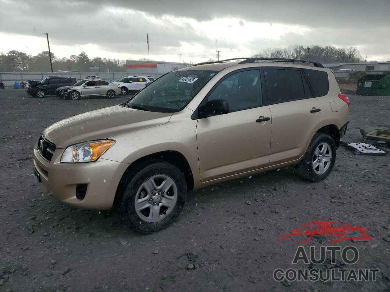 TOYOTA RAV4 2011 - 2T3BF4DV9BW174555