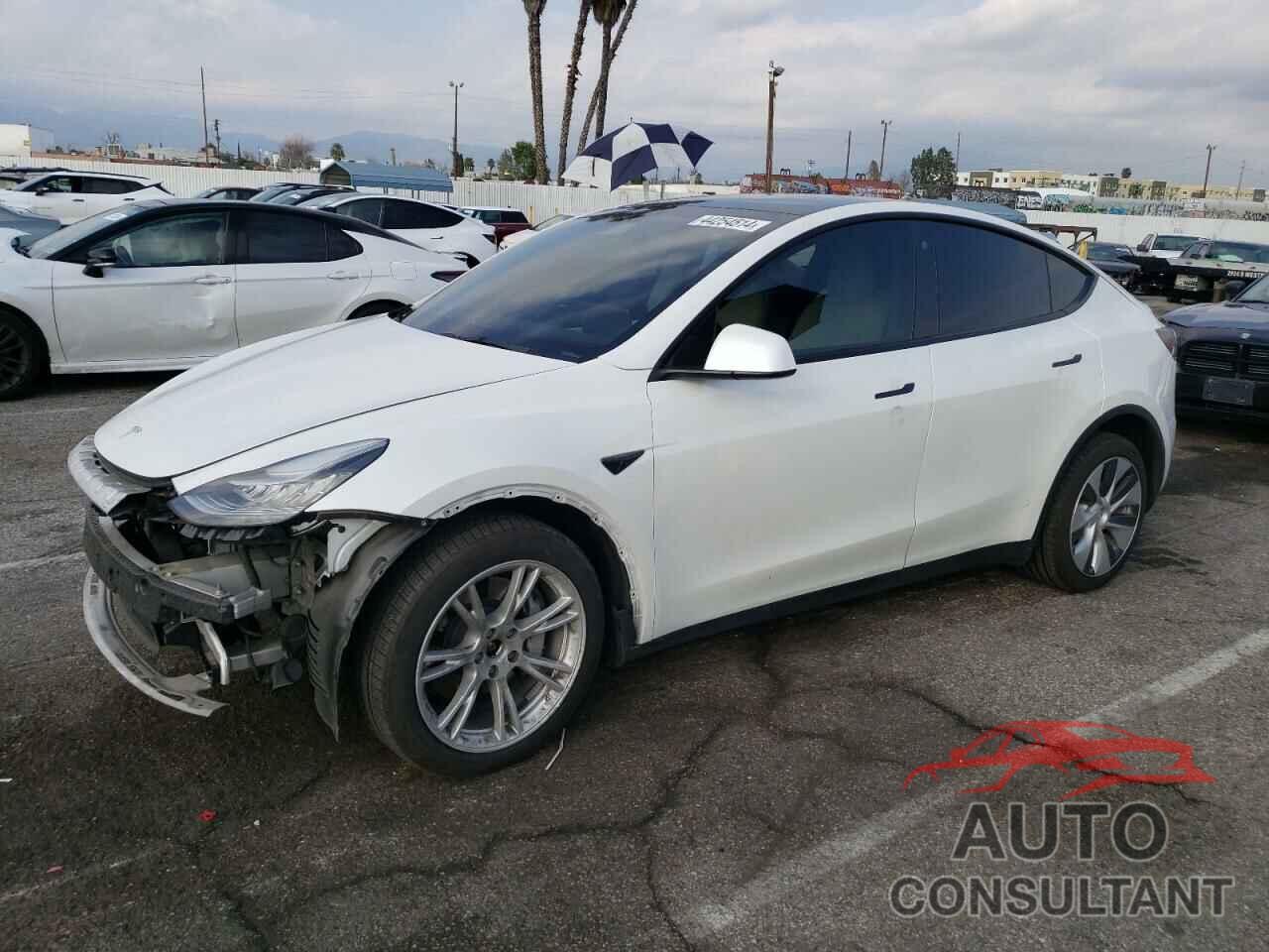 TESLA MODEL Y 2021 - 5YJYGDEE3MF274388