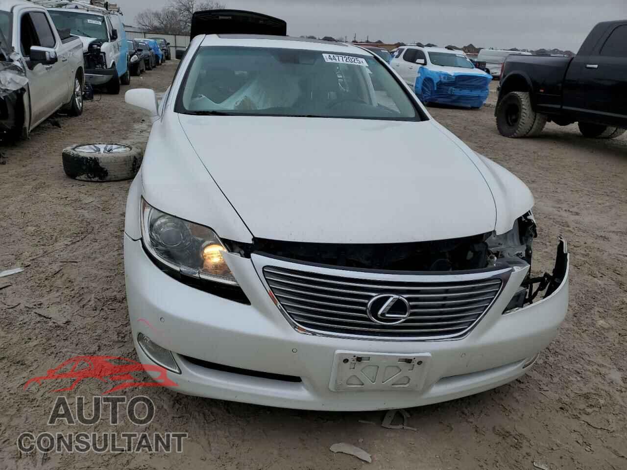 LEXUS LS460 2009 - JTHBL46F895086871