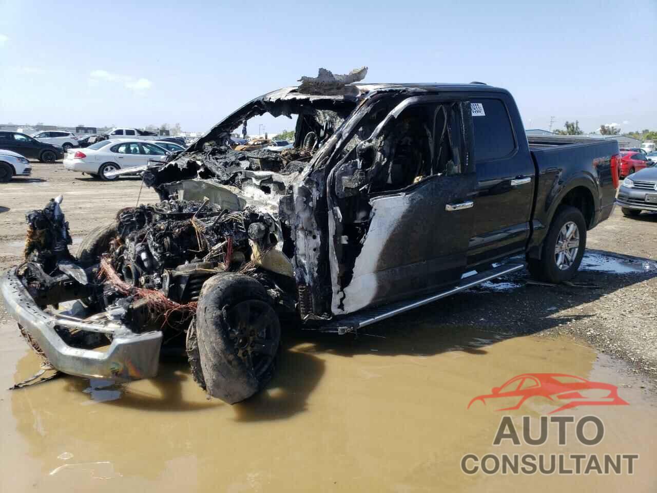 FORD F-150 2022 - 1FTFW1E53NKD56960