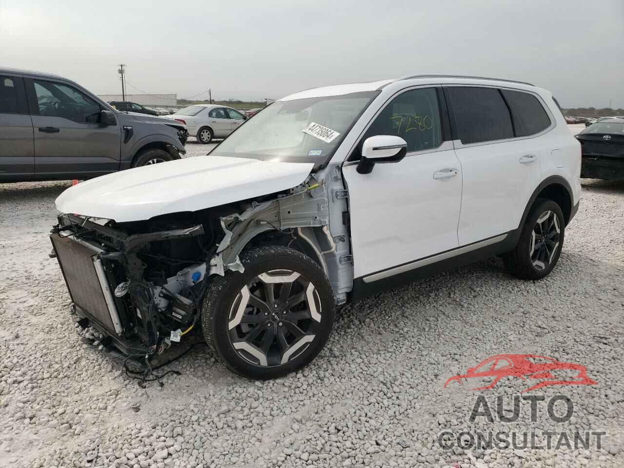 KIA TELLURIDE 2024 - 5XYP64GC9RG417452