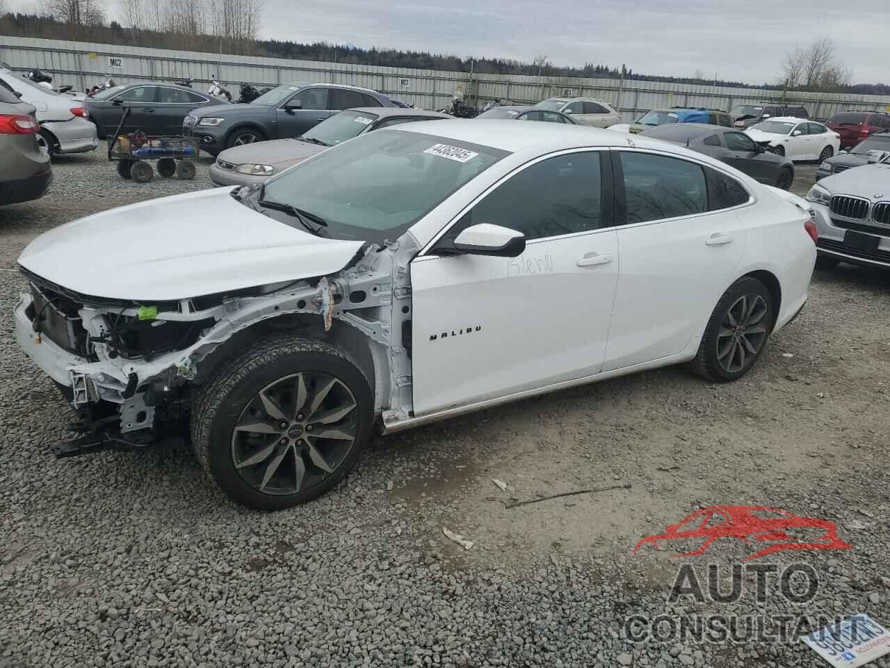 CHEVROLET MALIBU 2023 - 1G1ZG5ST7PF173280