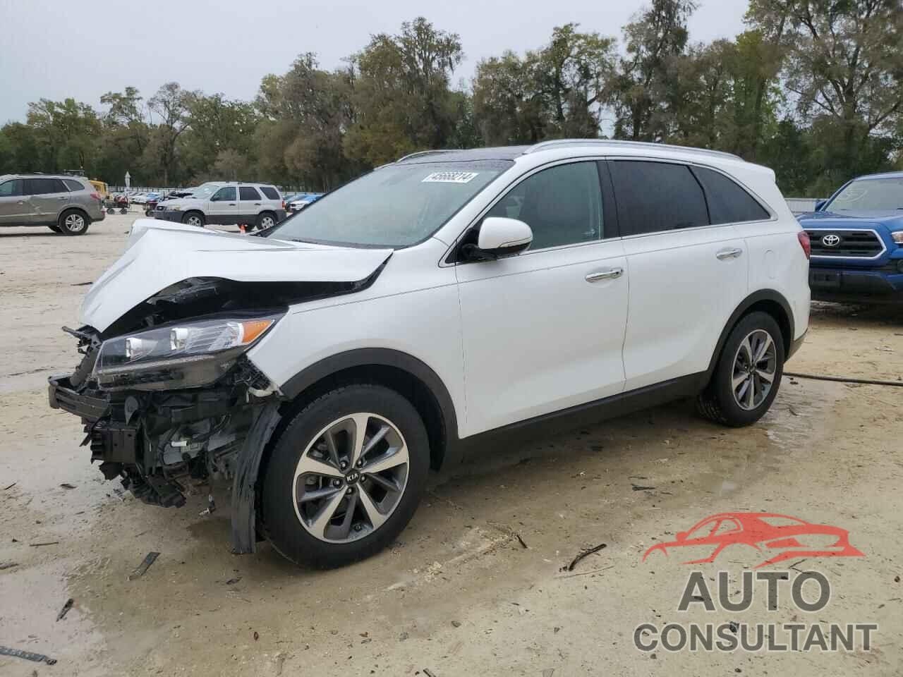 KIA SORENTO 2019 - 5XYPH4A55KG460924