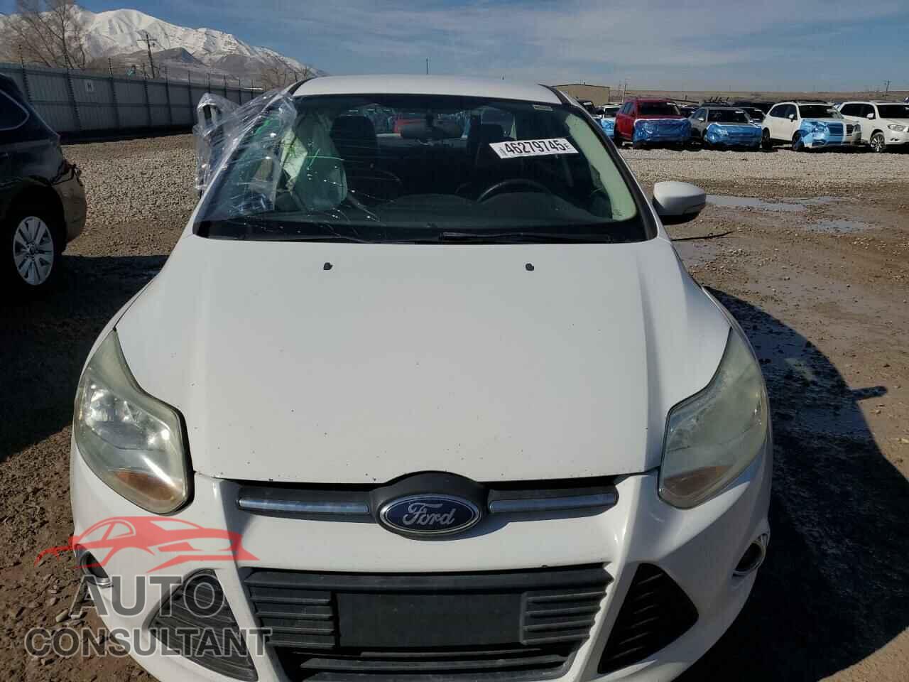 FORD FOCUS 2013 - 1FADP3F22DL219544