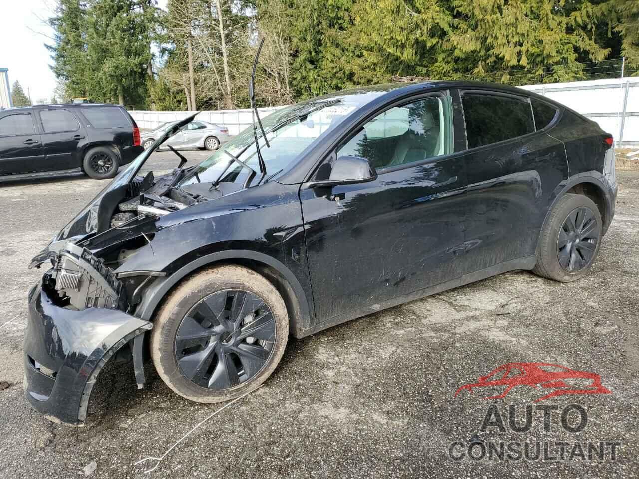 TESLA MODEL Y 2024 - 7SAYGDEEXRF119119