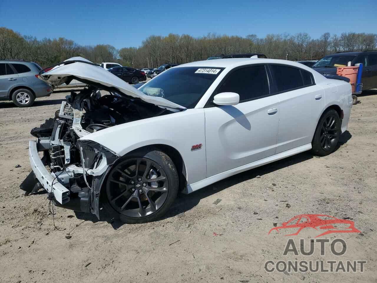 DODGE CHARGER 2020 - 2C3CDXGJ3LH120663