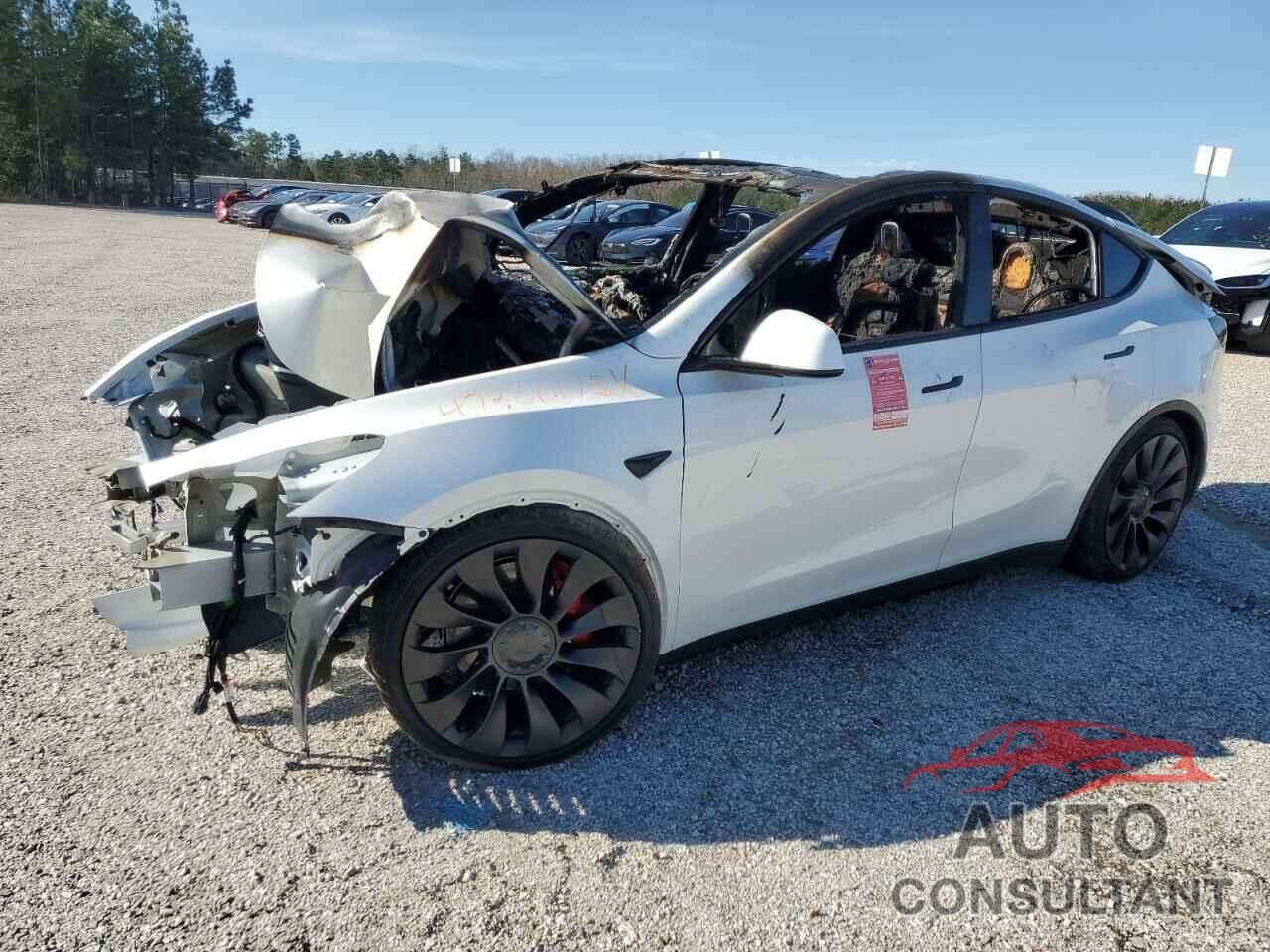 TESLA MODEL Y 2024 - 7SAYGDEF5RF183755