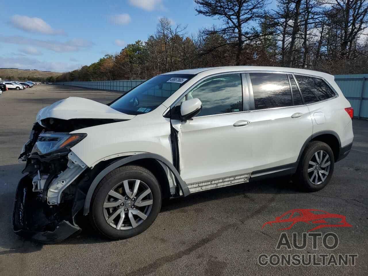HONDA PILOT 2019 - 5FNYF6H50KB076830