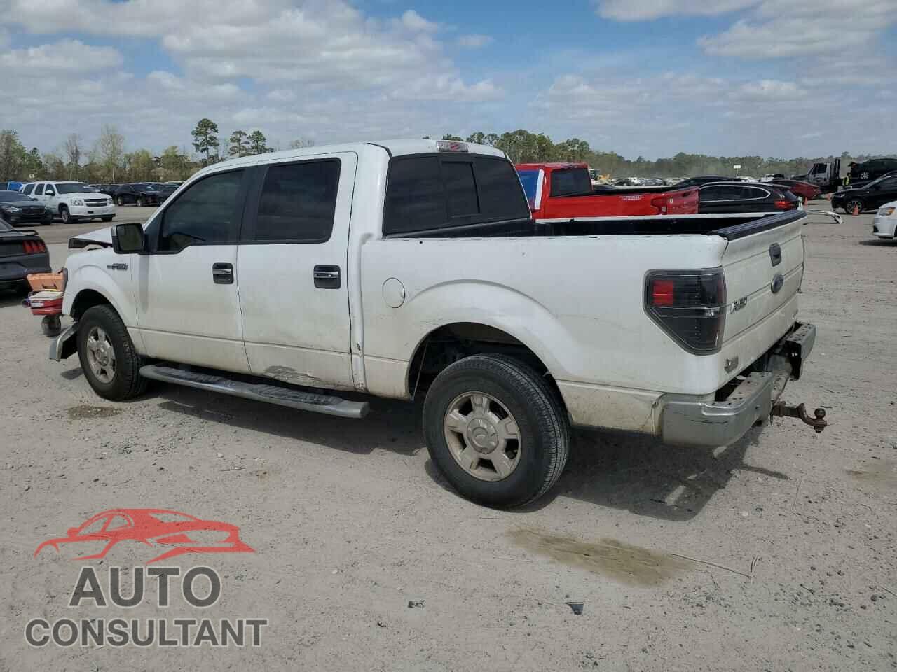 FORD F-150 2013 - 1FTEW1CM0DKE02037