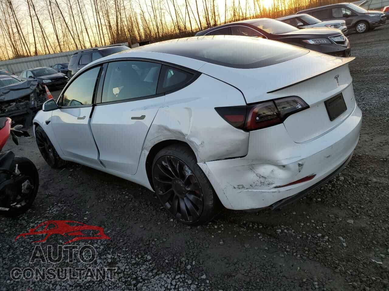 TESLA MODEL 3 2021 - 5YJ3E1EC9MF064794