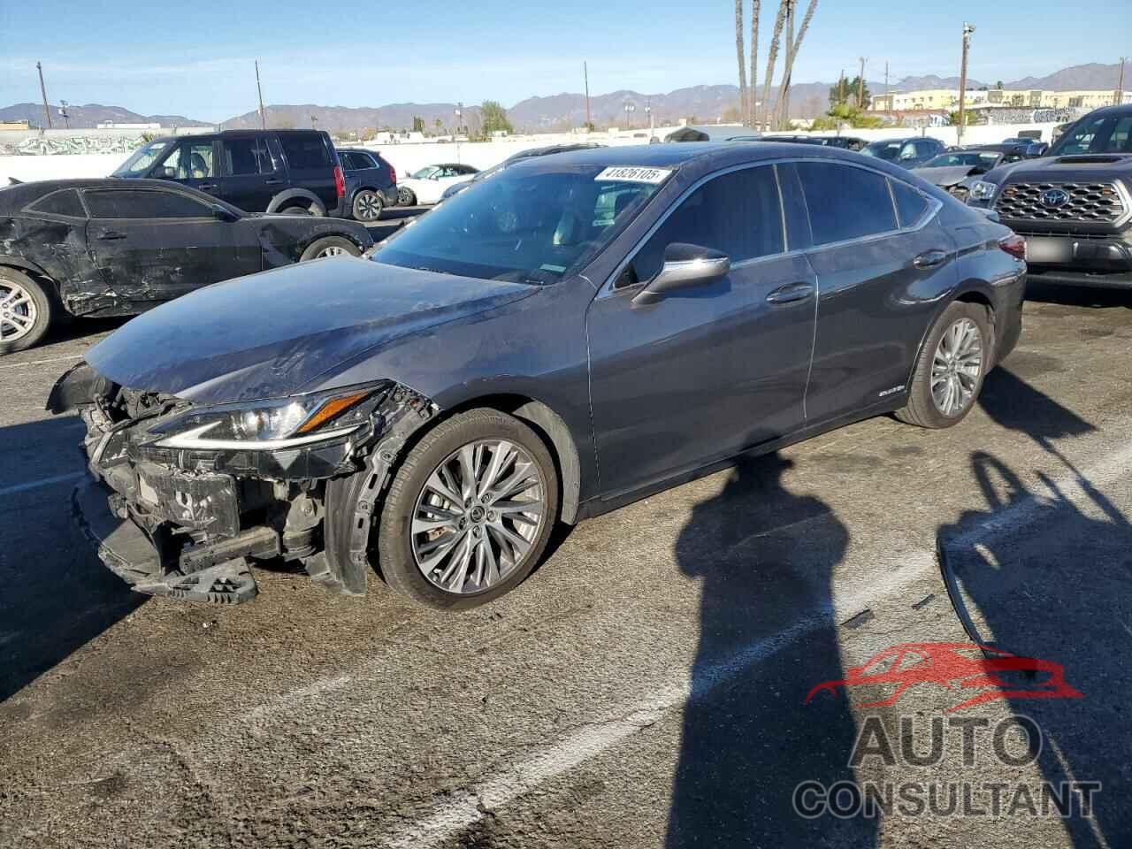 LEXUS ES300 2021 - 58ADA1C11MU003338