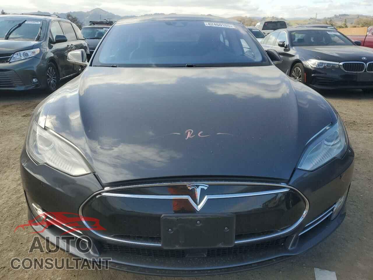 TESLA MODEL S 2015 - 5YJSA1E29FF103059