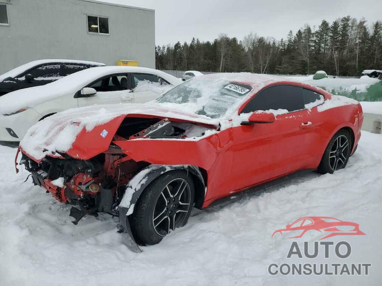 FORD ALL Models 2019 - 1FA6P8TH5K5102976