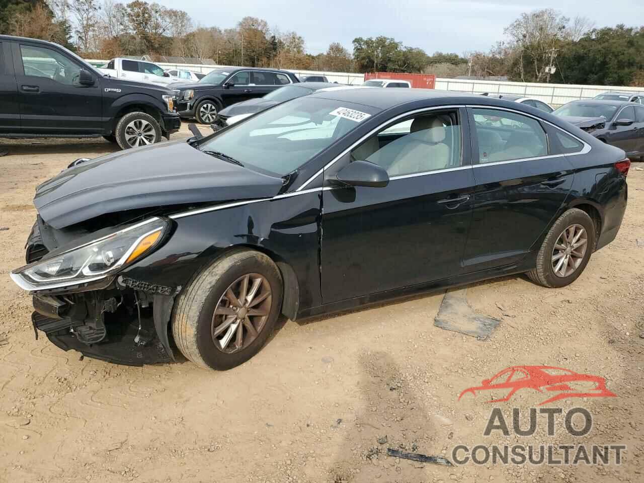 HYUNDAI SONATA 2019 - 5NPE24AF4KH802745