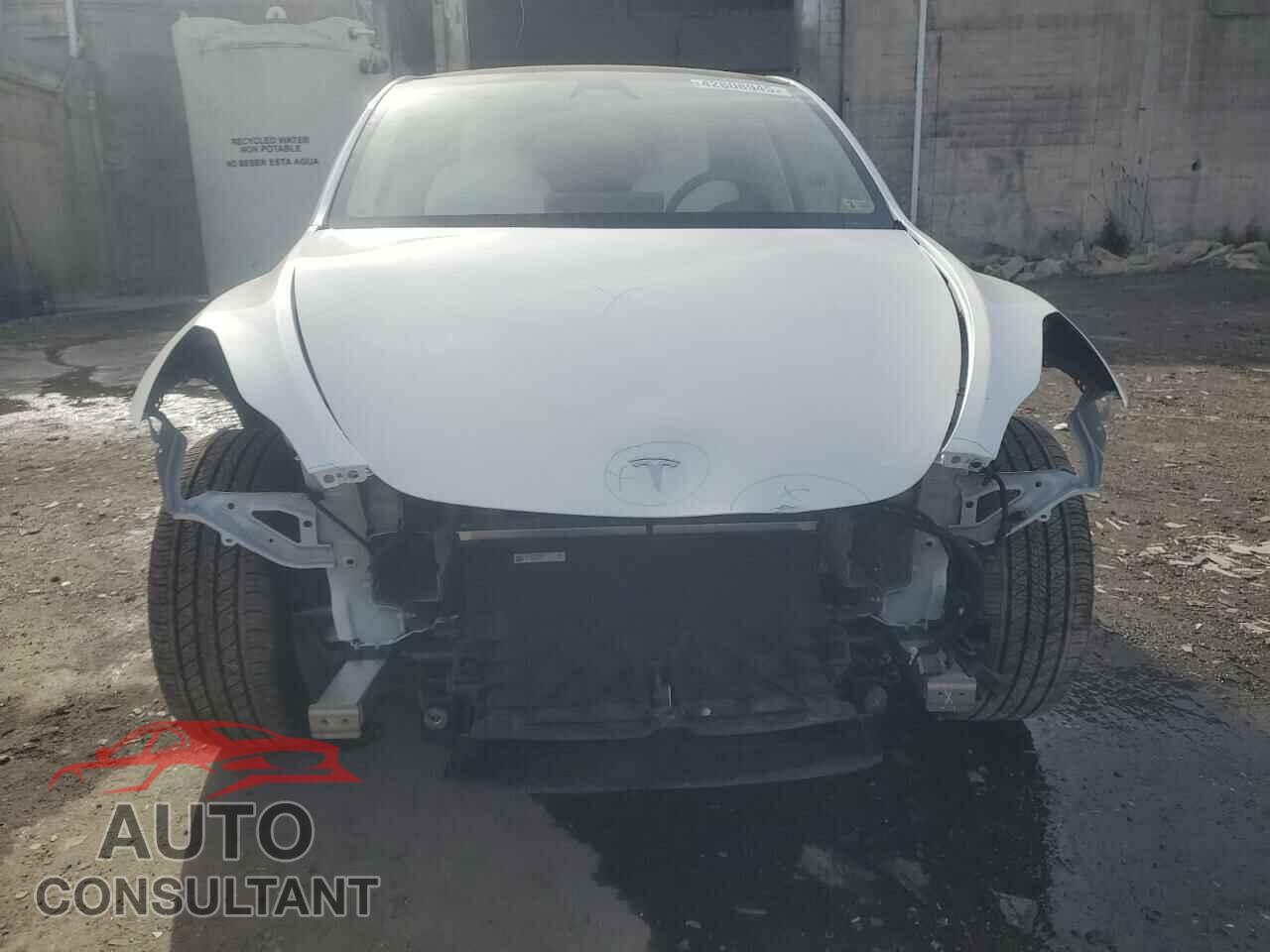 TESLA MODEL Y 2024 - 7SAYGDED2RF042236