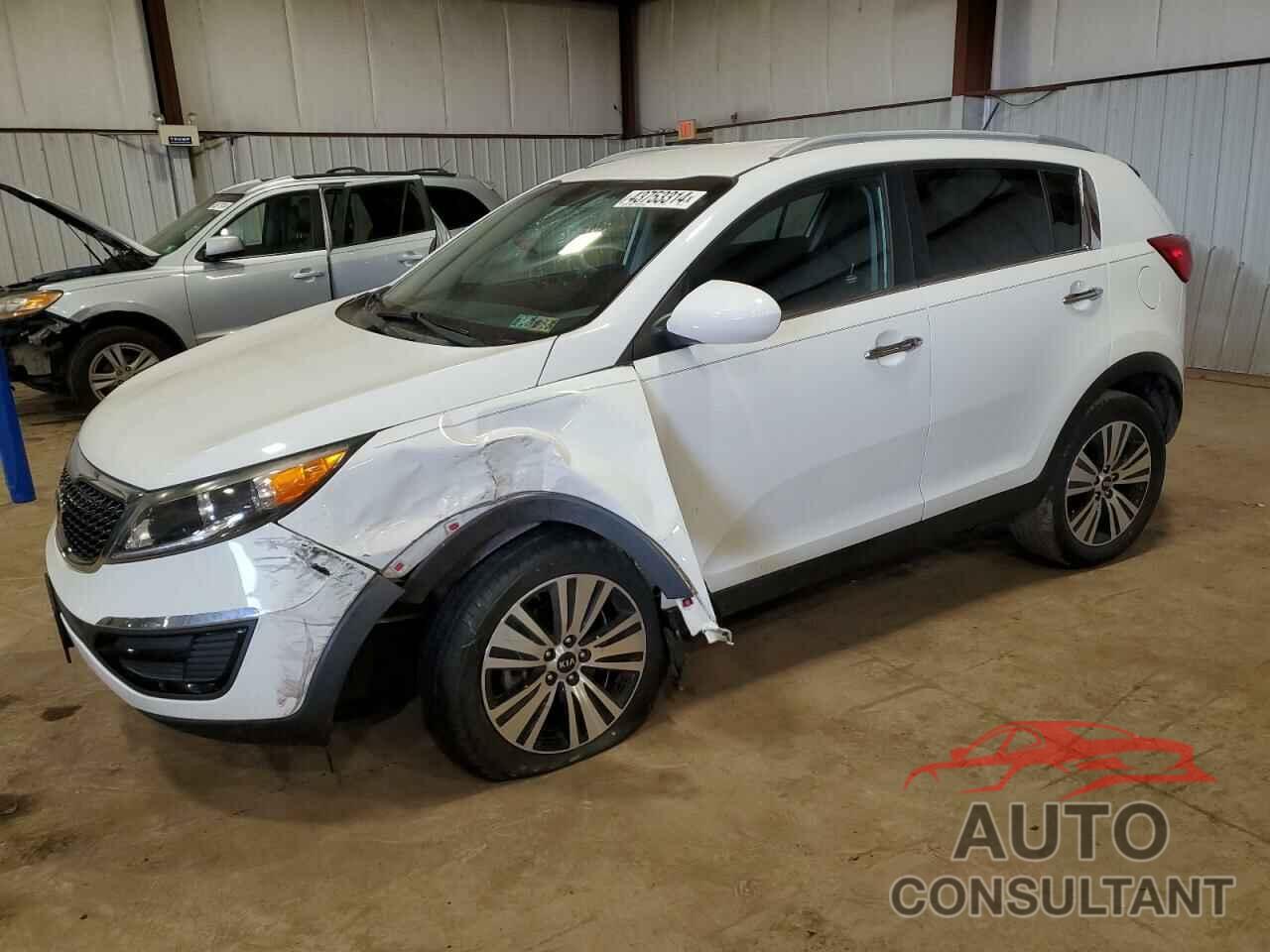 KIA SPORTAGE 2016 - KNDPC3AC7G7815099