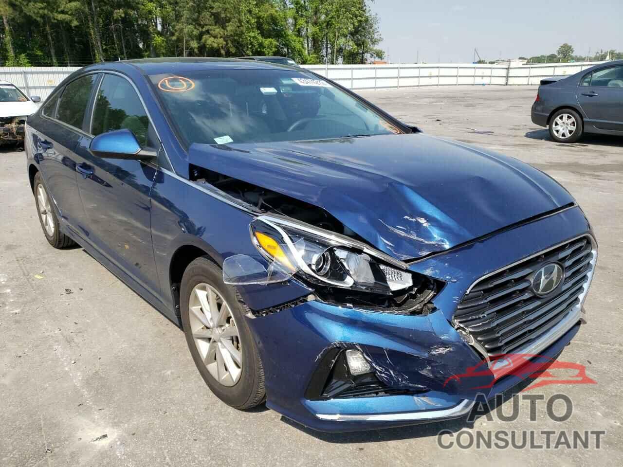 HYUNDAI SONATA 2019 - 5NPE24AFXKH764177