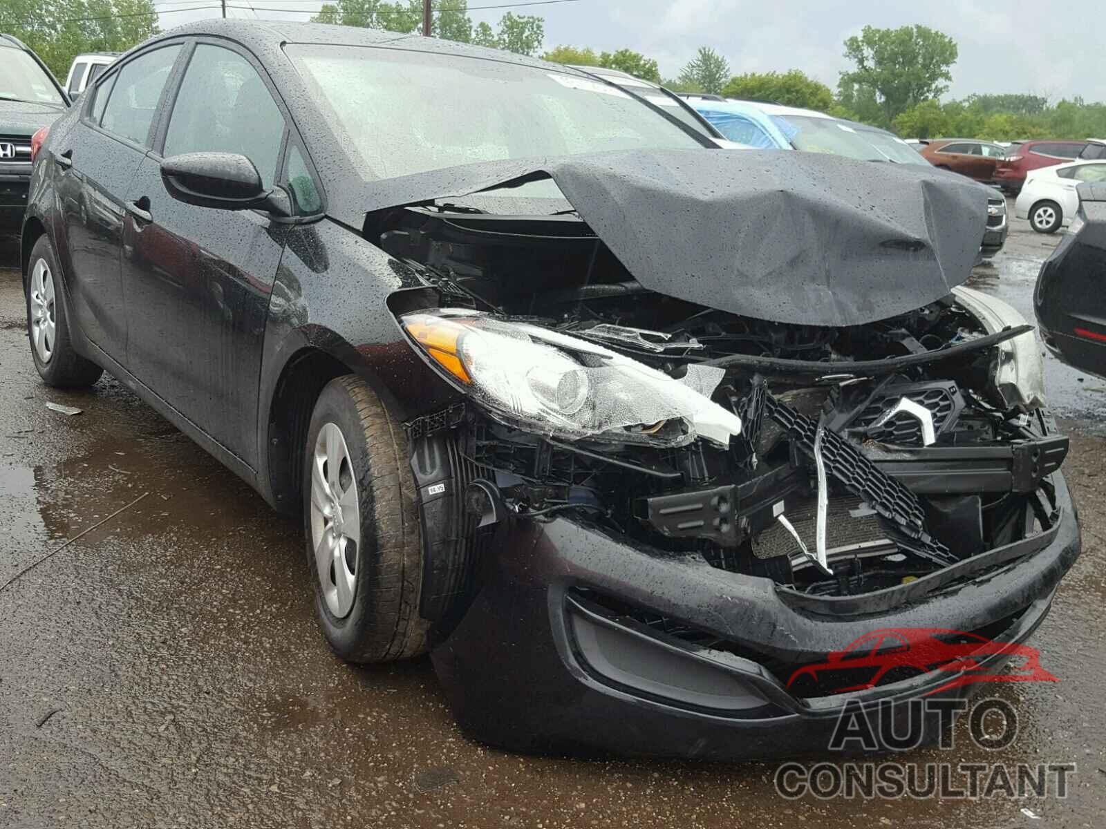 KIA FORTE 2016 - KNAFK4A66G5524889