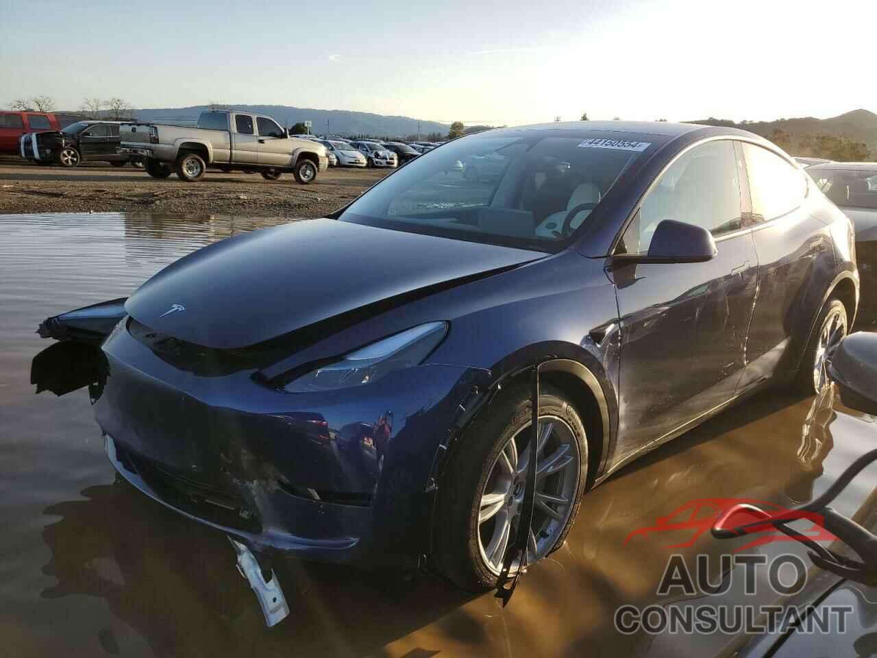 TESLA MODEL Y 2024 - 7SAYGDEE2RF983730