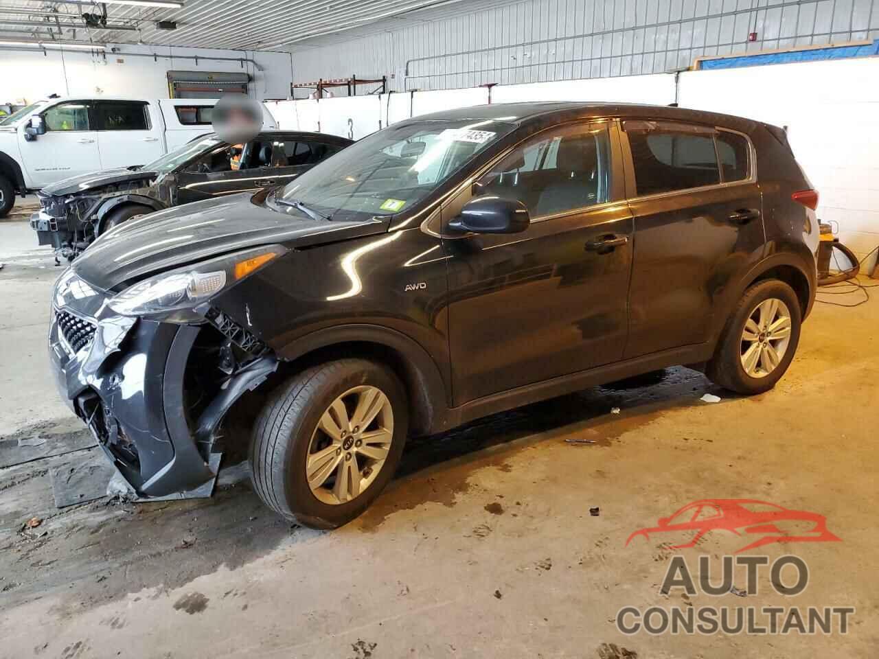 KIA SPORTAGE 2017 - KNDPMCAC6H7116495