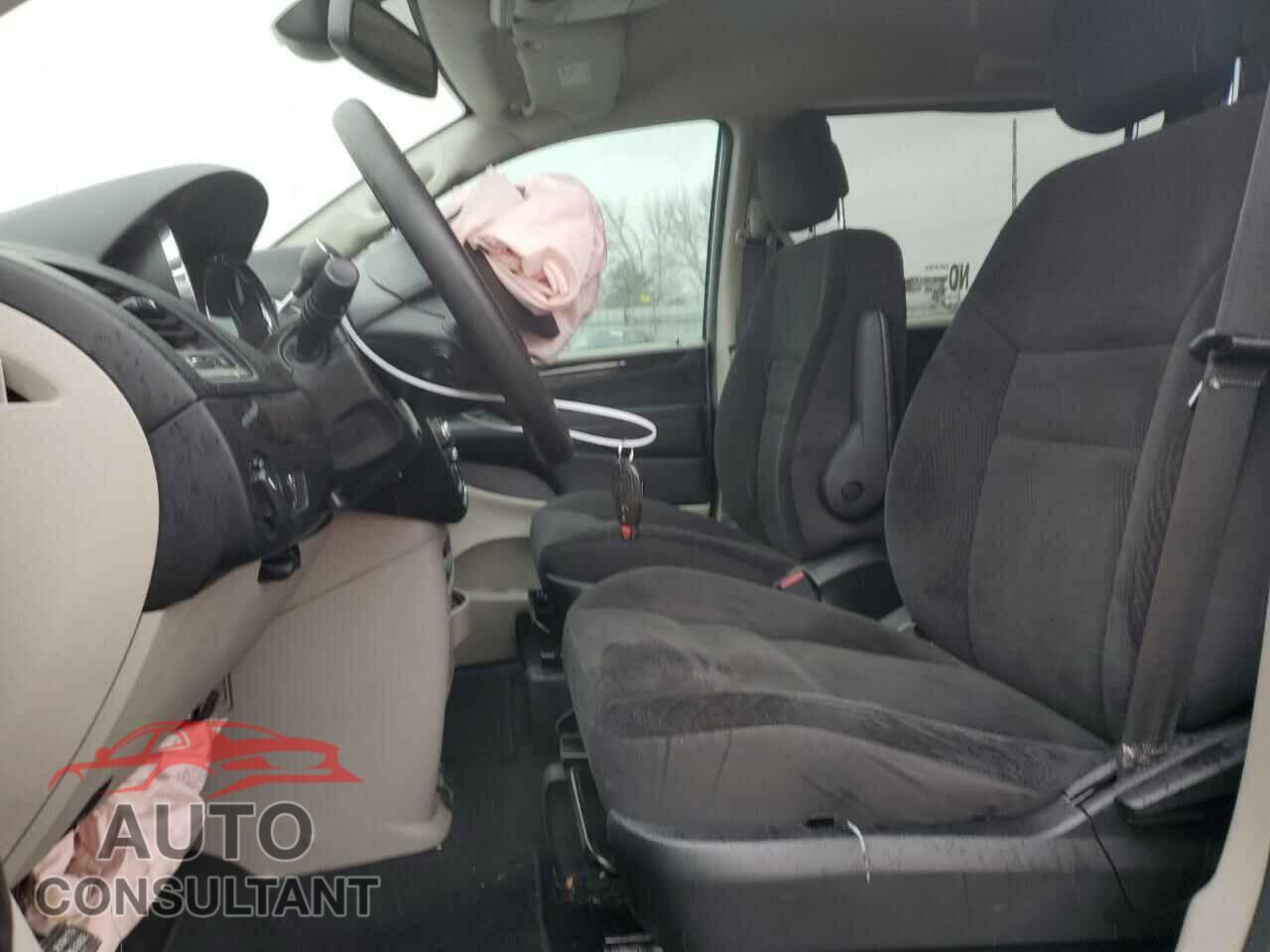 DODGE CARAVAN 2019 - 2C4RDGBG4KR602391
